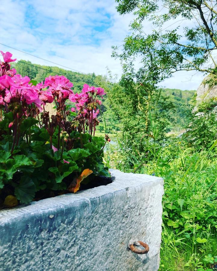 La Taniere Holiday home Dinant